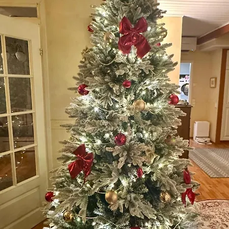 Cozy House Close To Arctic Circle *