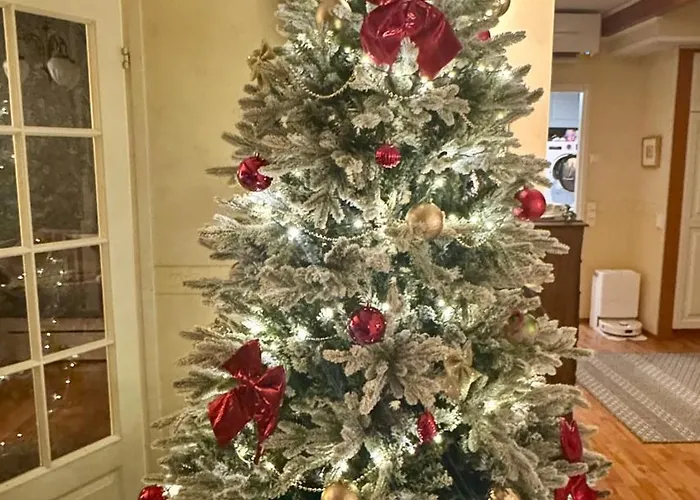 Cozy House Close To Arctic Circle *